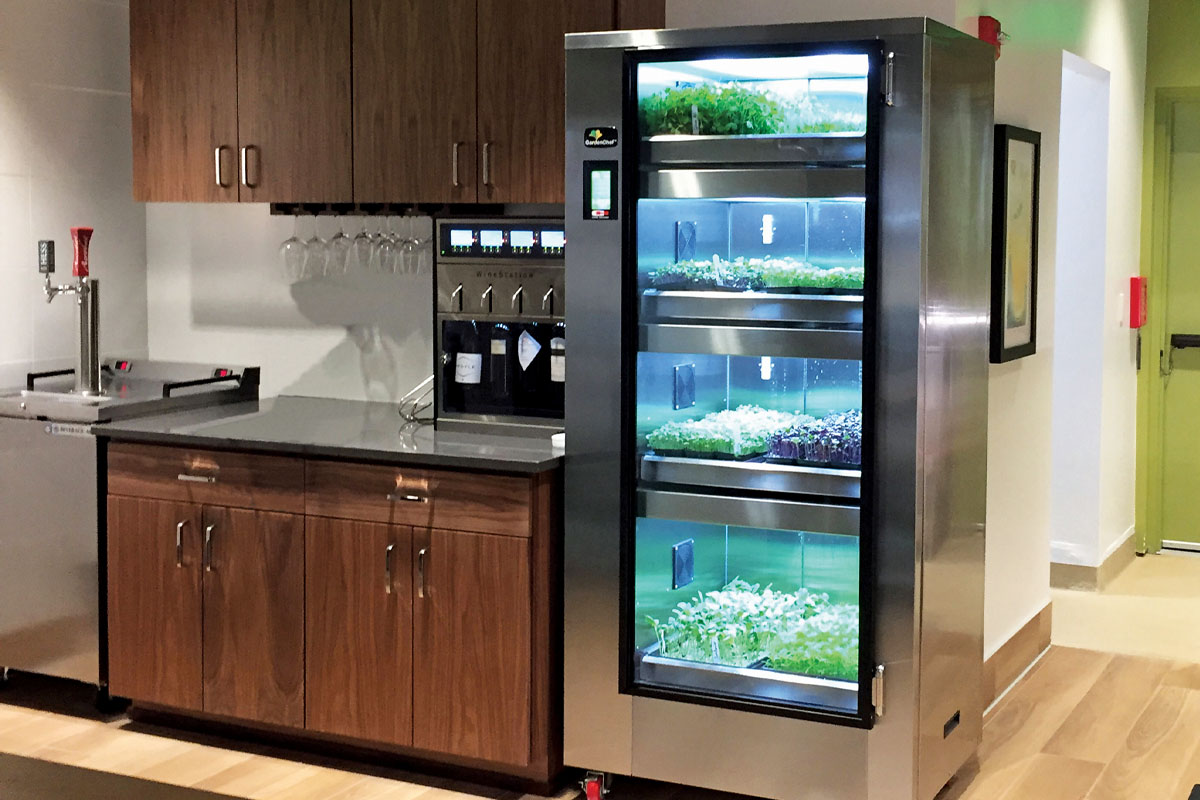 Carter Hoffman Microgreens Growing Cabinet